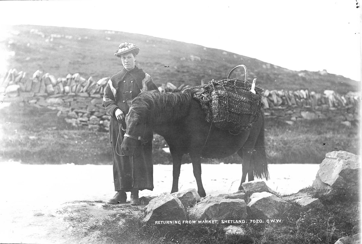 Returning from market, Shetland