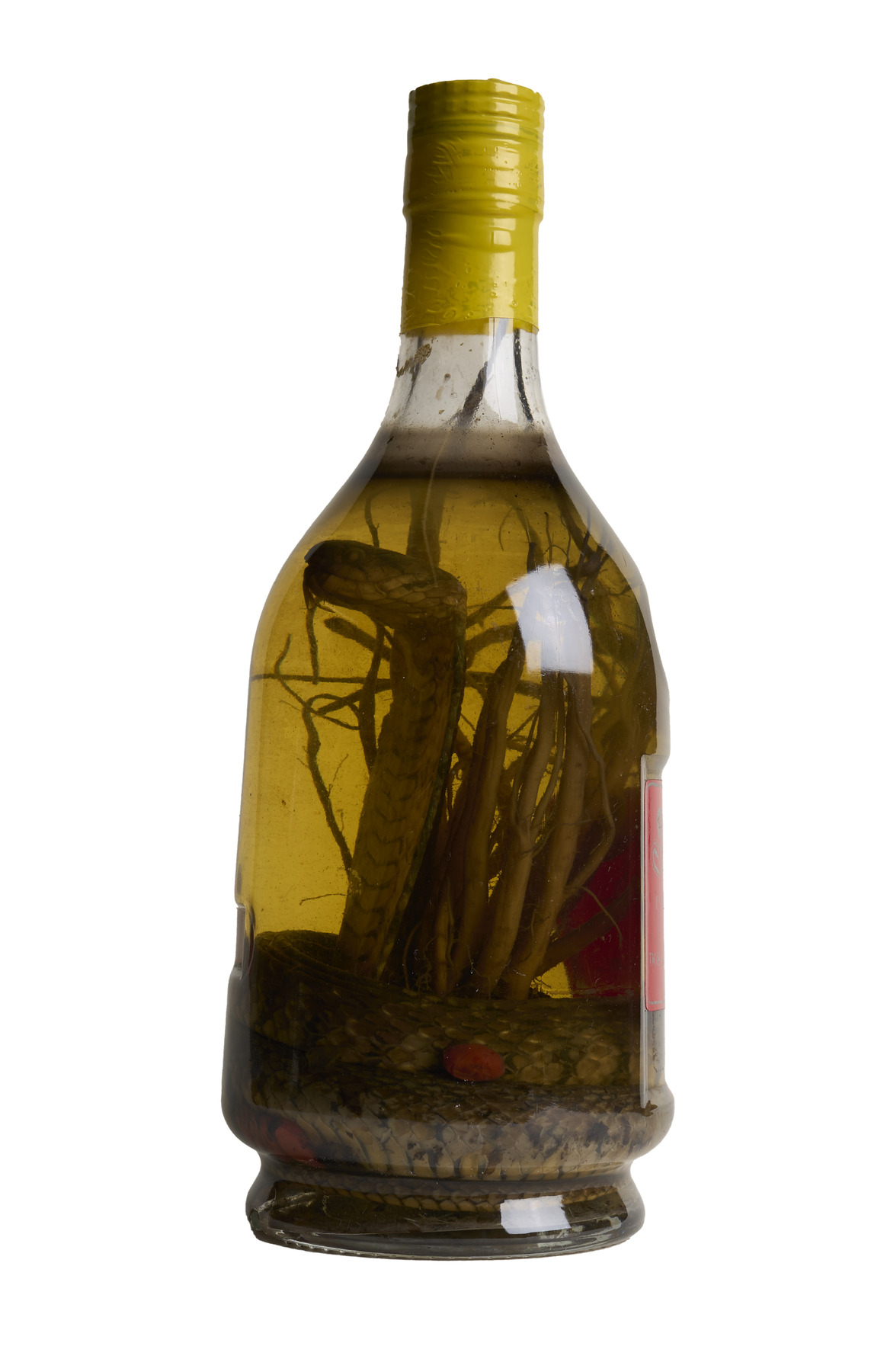 Snake Wine