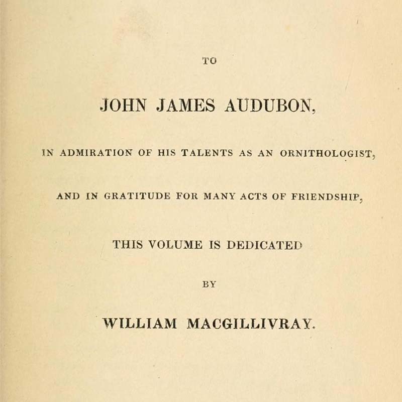 Dedication to John James Audubon in Descriptions of the Rapacious Birds of Great Britain, 1836