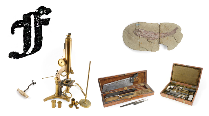 A large printed lower case letter F with medical instruments, a microscope and a fossil.