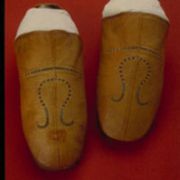 slipper shoe.jpg