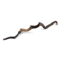 Walking stick. A crooked, knobbly wooden stick about a metre long with a crook at one end for a handle.