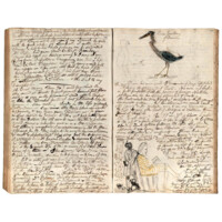 Pages of a manuscript journal with illustrations of a blue heron like bird and a white man being attended by a Black barber. The white man wears yellow and white striped clothing and is reading a book. The barber has a comb in his hair and a pocket full of tools. There is also a Black child sitting on the floor.