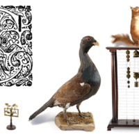 A large printed capital letter C inside a square area of decorative scrolls, with a taxidermy capercaillie, red squirrel and crossbills, and a large wooden frame with pulleys and a small brass windmill. 