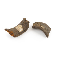 Axel loops. Two heavily rusted, cracked fragments of iron with a flat curved shape.