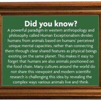 Did you know? A powerful paradigm in western anthropology and philosophy called Human Exceptionalism divides humans from animals based on humans' perceived unique mental capacities, rather than connecting them through clear shared features as physical beings existing on the same planet. This makes it easy to forget that humans are also animals positioned on the food chain. Many cultures around the world do not share this viewpoint and modern scientific research is challenging this idea by revealing the complex ways various animals live and think. 