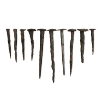 Nails. Ten large iron nails with squarish cross sections, ranging in length from five to ten centimetres.