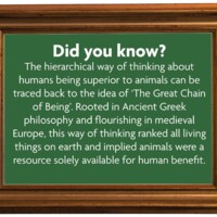 Did you know? The hierarchical way of thinking about humans being superior to animals can be traced back to the idea of 'The Great Chain of Being'. Rooted in Ancient Greek philosophy and flourishing in medieval Europe, this way of thinking ranked all living things on earth and implied animals were a resource solely available for human benefit.