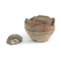 Cup and ammonite. A small pottery cup with decorative zig zag lines cut into it, next to a piece of a fossilised ammonite.