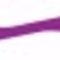 purple wavy line.jpg