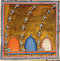 Bees from the Aberdeen bestiary