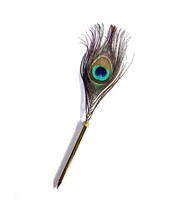 Grey reflective pen with a multicoloured peacock feather on the end.