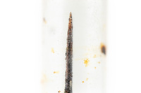 Image of the tip of a poison dart.