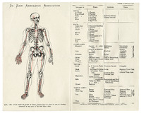 Skeleton diagrams- St John Ambulance Association 