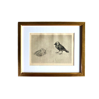 Framed print of two birds (jackdaws).